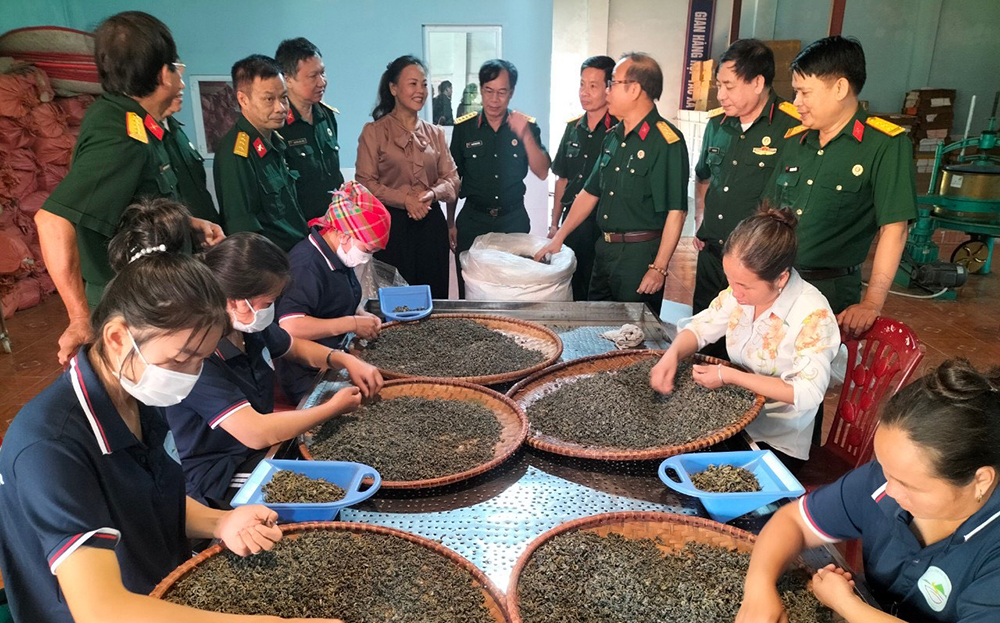 Lãnh đạo Hội CCB tỉnh và huyện Văn Chấn thăm mô hình sản xuất, kinh doanh chè kết hợp du lịch của hội viên Lâm Thị Kim Thoa ở xã Suối Giàng.
