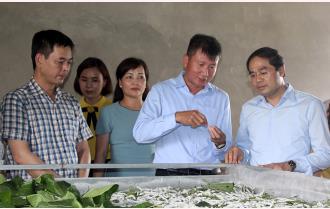 Đoàn công tác tỉnh Lào Cai tham quan một số mô hình phát triển kinh tế, xây dựng nông thôn mới tại huyện Trấn Yên