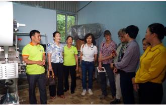 Ban Quản lý Chương trình FFF Việt Nam và FAO làm việc tại Yên Bái