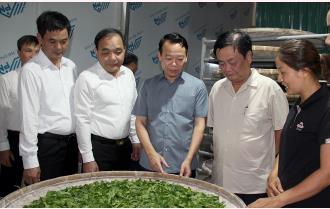 Bộ trưởng Bộ Nông nghiệp và Phát triển nông thôn Lê Minh Hoan thăm mô hình trồng dâu nuôi tằm tại huyện Trấn Yên