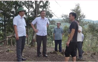 Hội đồng Dân tộc của Quốc hội khảo sát chính sách, pháp luật về rừng tại huyện Mù Cang Chải