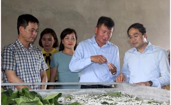 Đoàn công tác tỉnh Lào Cai tham quan một số mô hình phát triển kinh tế, xây dựng nông thôn mới tại huyện Trấn Yên