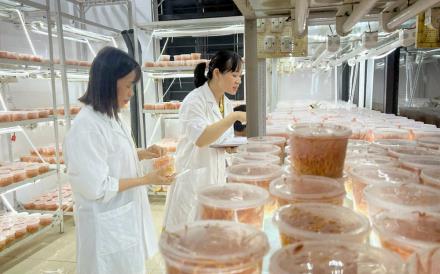Development and Application of Biotechnology, Production of High-Value Biotechnology Products in Agriculture.
