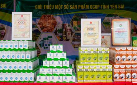 The Dai Phu An plant-based essential oil products from Van Yen District are currently being submitted for evaluation as 5-star OCOP items in the near future.