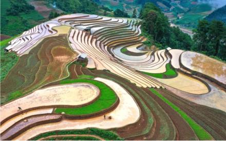 During the water pouring season, the terraced rice fields appear with the brown colour of the soil interspersed with the green of young rice, creating poetic and beautiful scenes.