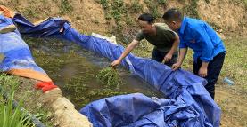 Đồng bào Mông xã Khao Mang, huyện Mù Cang Chải tạo các bể chứa nước ở đầu nguồn nước, gần ruộng để cho cá đẻ.