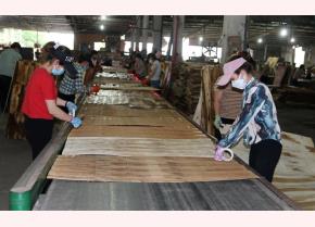 Production of plywood at JUNMA Yen Bai joint Stock Company.
