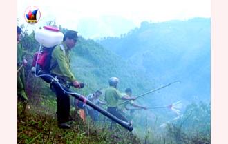 Diễn tập ứng phó cháy rừng và tìm kiếm cứu nạn huyện Mù Cang Chải năm 2015