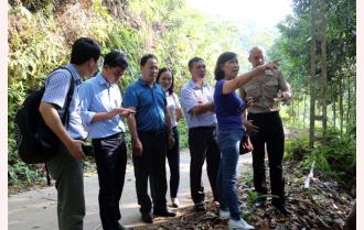Đoàn công tác của tổ chức Nông lương Liên hợp quốc thăm mô hình sản xuất quế hữu cơ tại xã Đào Thịnh