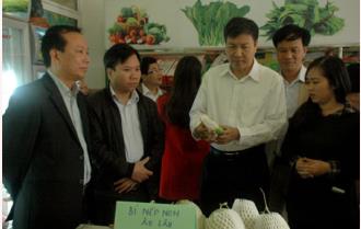Đoàn Đại biểu Quốc hội tỉnh Yên Bái giám sát việc thực hiện chính sách, pháp luật về an toàn thực phẩm tại Sở Nông nghiệp và Phát triển nông thôn