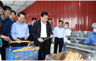 Bộ trưởng Bộ Nông nghiệp - Phát triển nông thôn Nguyễn Xuân Cường thăm mô hình sản xuất theo chuỗi giá trị tại Yên Bái