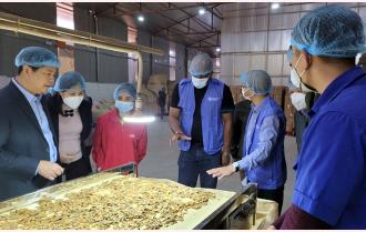 Đoàn công tác của Tổ chức Lương thực và Nông nghiệp Liên hợp quốc tại Việt Nam làm việc với tỉnh Yên Bái