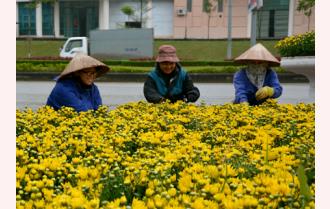 Thành phố Yên Bái: Xuân thay áo mới