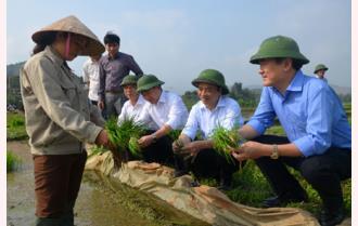 Các đồng chí lãnh đạo tỉnh kiểm tra tình hình sản xuất đầu năm tại huyện Văn Yên
