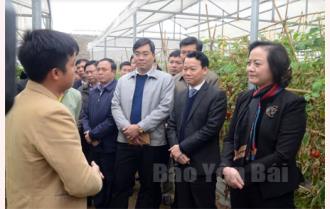 Thường trực Tỉnh ủy kiểm tra tình hình phát triển kinh tế - xã hội tại huyện Văn Yên