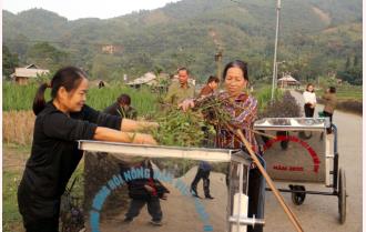 Yên Bái: Chung tay bảo vệ môi trường