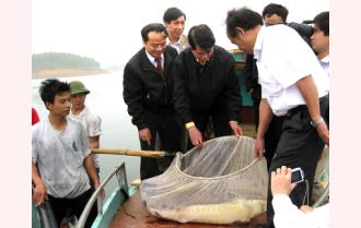 Đồng chí Hoàng Xuân Lộc kiểm tra tình hình nuôi cá tầm tại hồ Thác Bà
