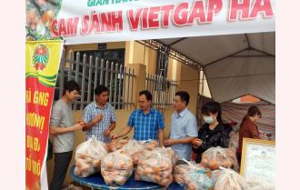 Hội Nông dân Yên Bái hỗ trợ tiêu thụ sản phẩm cam sành Hà Giang