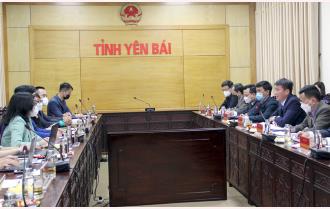 Chủ tịch UBND tỉnh Trần Huy Tuấn làm việc với Tổ chức Khoa học và Chuyên gia Việt Nam toàn cầu
