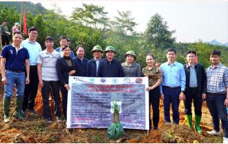 Phó Bí thư Thường trực Tỉnh ủy Tạ Văn Long tham gia trồng cây, hỗ trợ hội viên nông dân xây dựng mô hình trồng rừng gỗ lớn