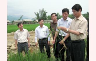 Đồng chí Hoàng Xuân Lộc kiểm tra tại huyện Văn Chấn