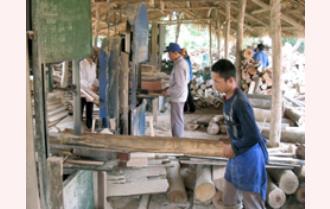 Văn Yên: Phát triển công nghiệp chế biến nông lâm sản 
