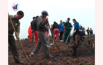 Tuổi trẻ thành phố Yên Bái: Xây dựng đồi cây thanh niên tự quản