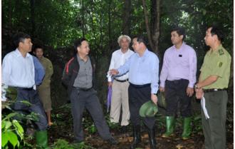 Đoàn đại biểu Quốc hội tỉnh khảo sát việc thực hiện chính sách, pháp luật về bảo vệ và phát triển rừng tại xã Việt Hồng