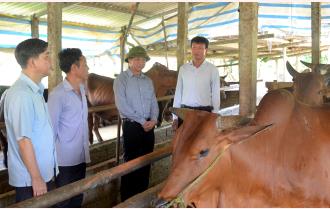 Chủ tịch UBND tỉnh Trần Huy Tuấn kiểm tra các chương trình mục tiêu quốc gia tại huyện Văn Chấn