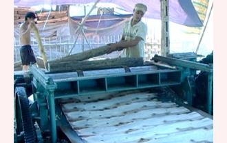 Chế biến gỗ rừng trồng ở Trấn Yên:
                        Cần phát triển theo hướng bền vững.
