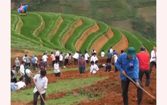 Tuổi trẻ Trạm Tấu triển khai công trình khai hoang ruộng nước giúp dân