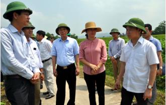 Chủ tịch UBND tỉnh Đỗ Đức Duy kiểm tra tình hình thực hiện xây dựng nông thôn mới tại huyện Trấn Yên

