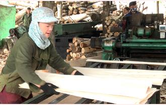 Chế biến gỗ rừng trồng ở Yên Bái: Cần liên kết vượt khó
