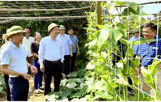Phó Chủ tịch HĐND tỉnh Vũ Quỳnh Khánh giám sát thực hiện các chương trình mục tiêu quốc gia tại huyện Yên Bình