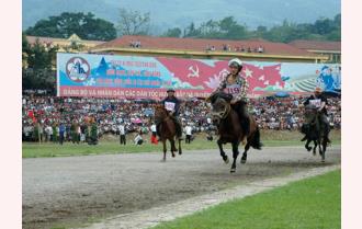 66 nài ngựa tham gia giải đua ngựa truyền thống Bắc Hà năm 2012