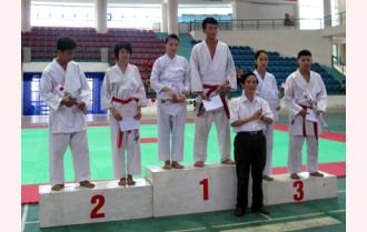 Giải Vovinam và Karatedo các CLB tỉnh Yên Bái năm 2011: Đoàn Nhà thiếu nhi giành 10 giải nhất
