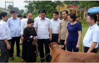 Bộ trưởng Bộ Giao thông Vận tải Đinh La Thăng thăm, tặng quà các hộ gia đình nghèo, người có công trên địa bàn tỉnh Yên Bái 