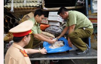 Yên Bái: Tiêu hủy 450 kg đùi gà nhập lậu
