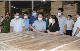 Bí thư Tỉnh ủy Đỗ Đức Duy thăm một số mô hình kinh tế tiêu biểu tại huyện Văn Yên