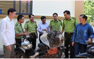 Chi cục Kiểm lâm tỉnh trao hỗ trợ lợn giống cho 16 hộ nghèo xã Động Quan