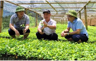 Hội Nông dân tỉnh hỗ trợ hội viên nông dân sản xuất, kinh doanh giỏi