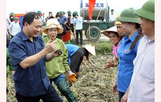UBND tỉnh Yên Bái phát động ra quân trồng cây vụ đông năm 2015