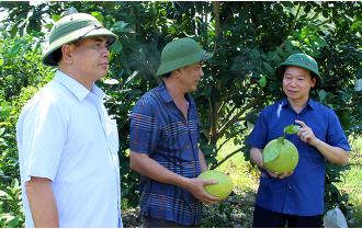 Chủ tịch UBND tỉnh Đỗ Đức Duy kiểm tra một số mô hình kinh tế nông nghiệp tại xã Đông An, huyện Văn Yên