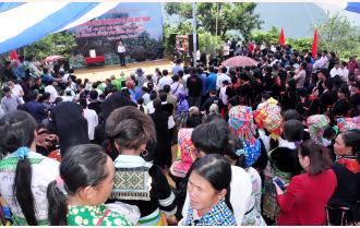 Văn Chấn đón Bằng công nhận quần thể Cây Di sản Việt Nam chè Shan tuyết cổ thụ Sùng Đô