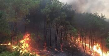 Khu vực rừng bị cháy tại tỉnh Nghệ An chiều 30/4/2024.