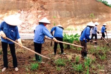 Nữ công nhân Công ty Công trình và Môi trường đô thị Yên Bái dọn vệ sinh đường phố