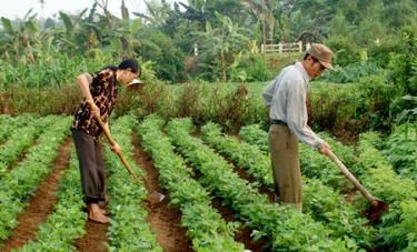 Chi bộ sinh hoạt độc lập giúp các chủ trương phát triển kinh tế - xã hội dễ vào thực tế cuộc sống cơ sở.