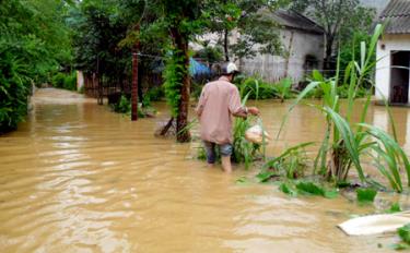 Dân cư ở tổ 30A, phường Minh Tân và tổ 65, phường Yên Ninh bị ảnh hưởng của trận mưa lớn từ đêm 22, rạng ngày 23/7.