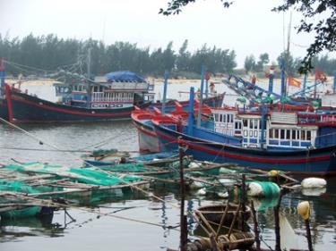 Tàu cá Phú Yên neo đậu an toàn.