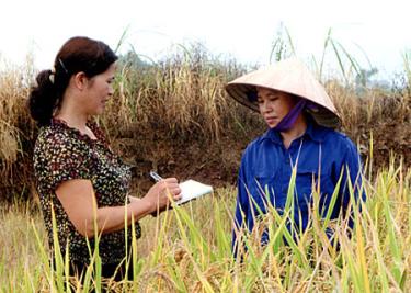 Phóng viên Báo Yên Bái tác nghiệp tại cơ sở.
